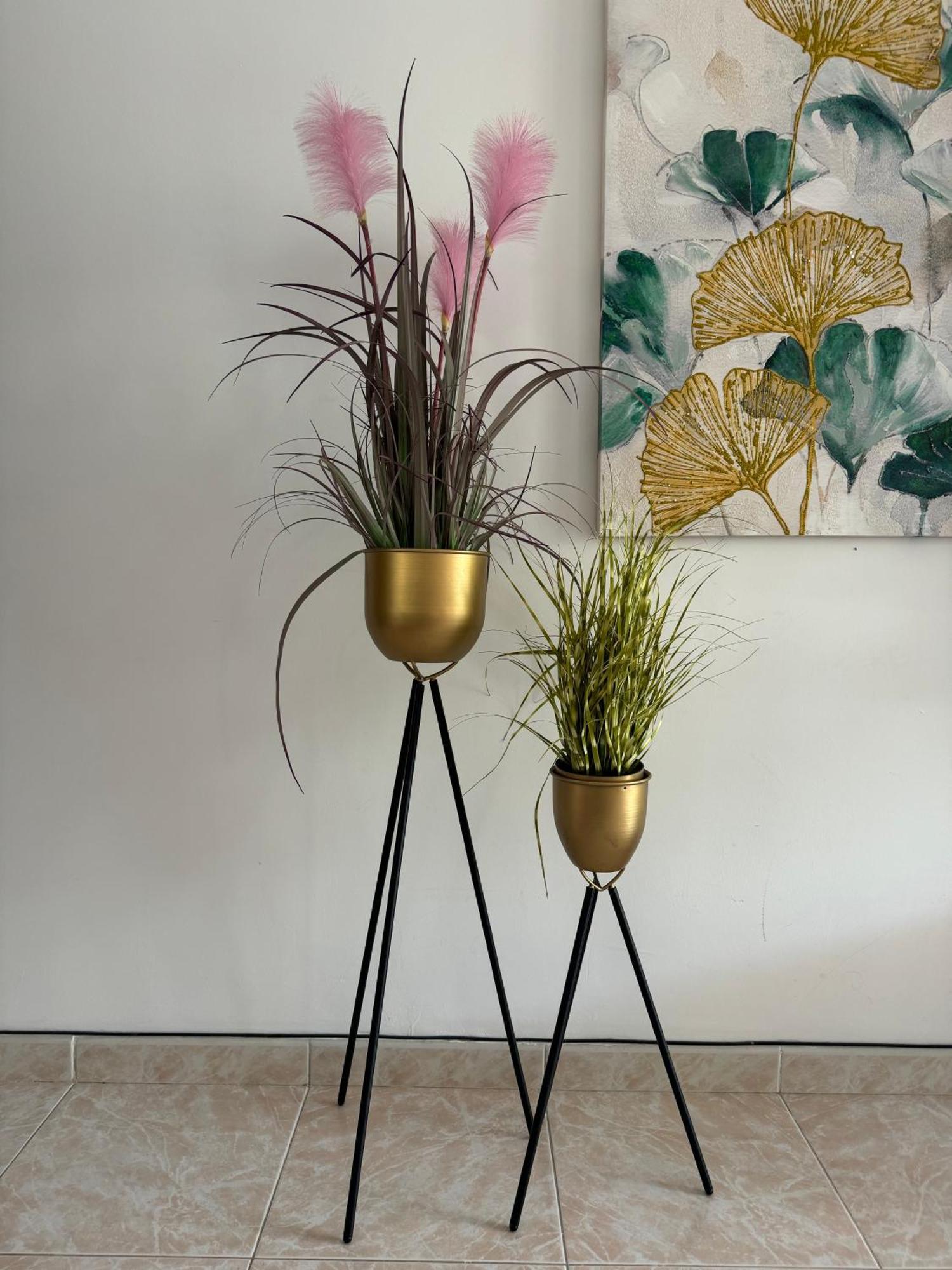 Guinea Apartment ปลายา เดล อิงเกลส ภายนอก รูปภาพ